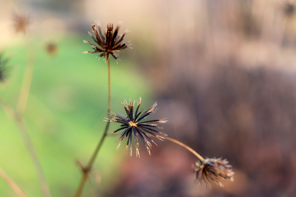 Biden kritisiert Trump für  moderne Appeasement-Politik  in der Ukraine