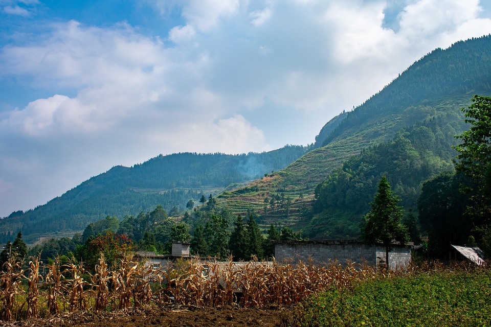 Chinas Exporte sanken im April durch Trumps Zölle