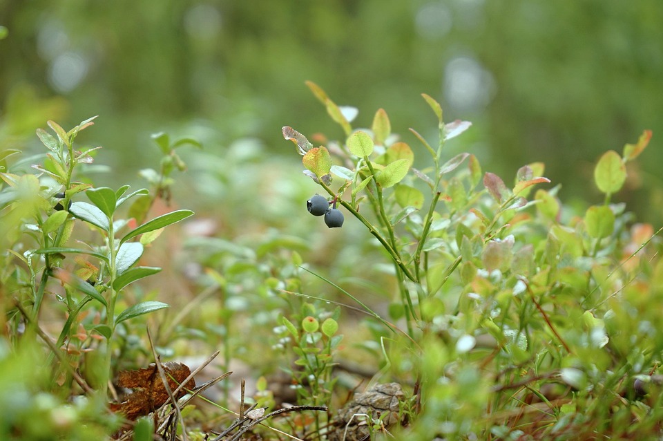 Europäische Staatschefs zeigen Unterstützung für Ukraine in Kiew