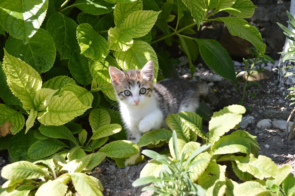 Frau umgeht TSA-Kontrolle und schleicht sich in Delta-Flug ein