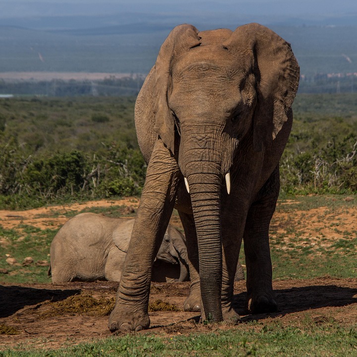 Fünf Fischer überleben 55 Tage auf See mit Regenwasser und Fisch