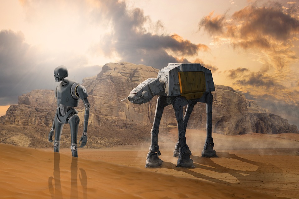 Geheime Kriege: Katzenliebhaber vs. Tierquäler für Profit