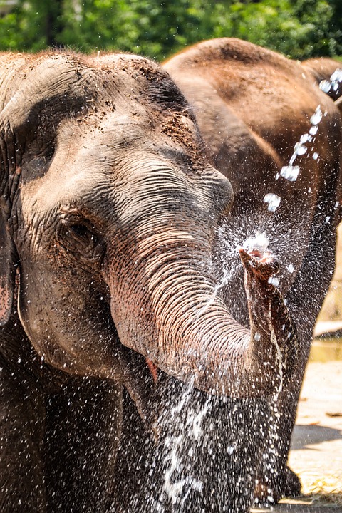Große Airlines meiden den Luftraum Pakistans wegen Spannungen mit Indien
