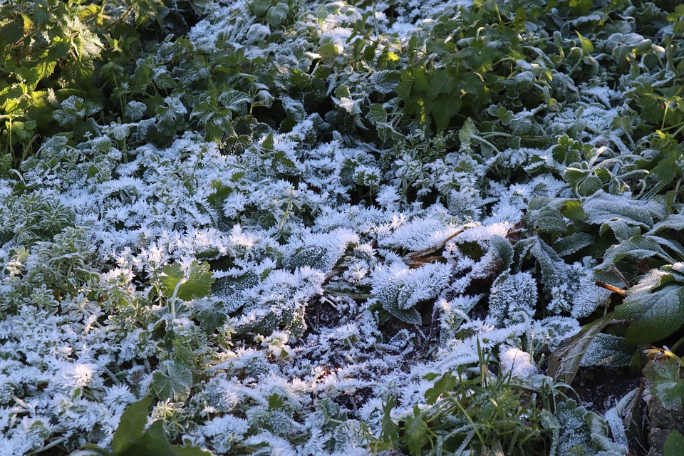 Hausrenovierung geplant? Tarife könnten die Kosten bald erhöhen