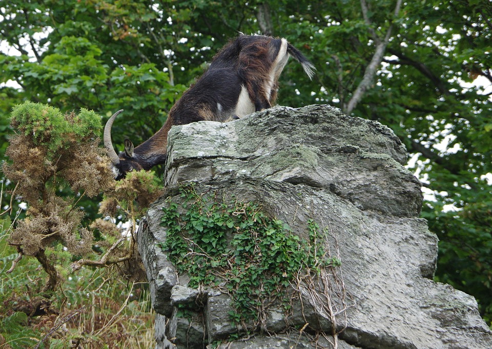 Israeli-Amerikaner Edan Alexander nach Hamas-Freilassung zurück in Israel