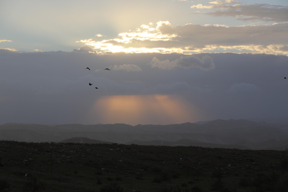 Israels Luftangriff auf Schule in Gaza tötet 22 Vertriebene