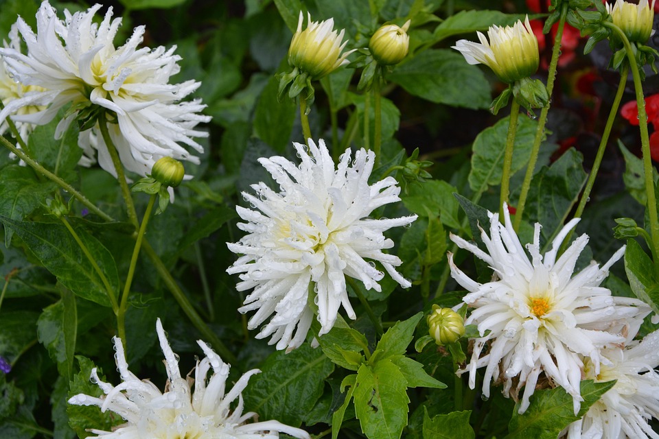 Massive Trump-Zölle auf Chinas günstigste Exporte bestehen weiterhin