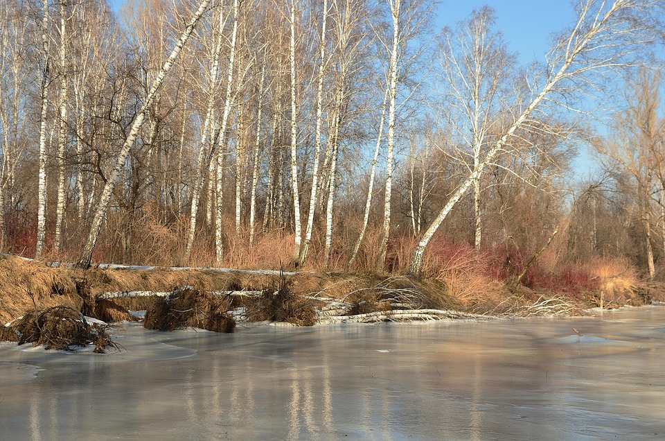 Russland leitet Strafverfahren gegen Journalisten kritisiert Ukraine-Krieg