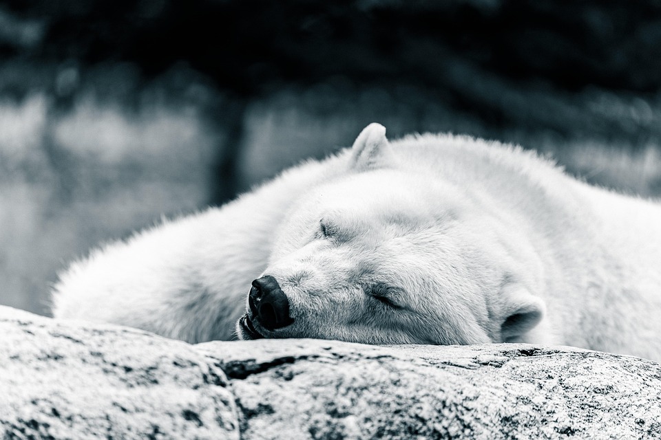 Schlafender Mann ignoriert Container-Schiff, das auf Rasen stranden