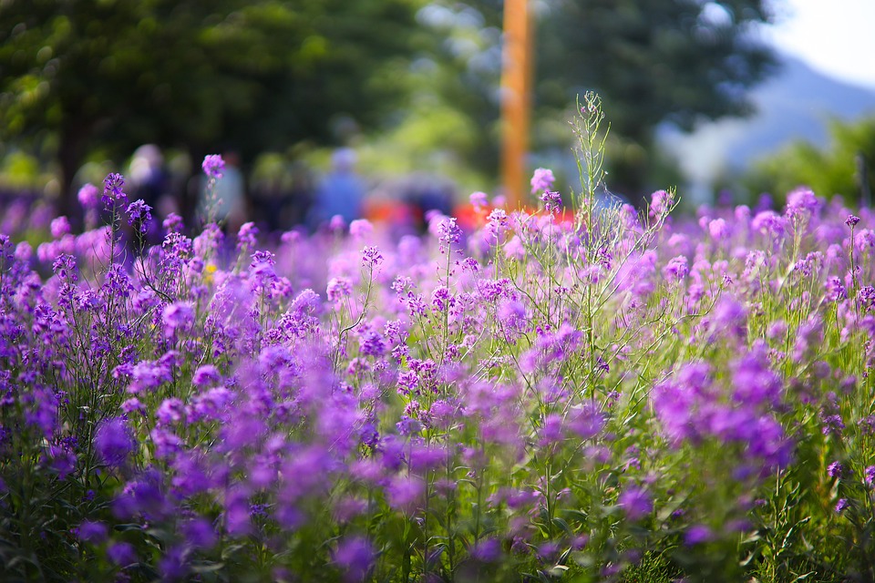 Tate-Brüder angeklagt: Vergewaltigung und Menschenhandel in UK