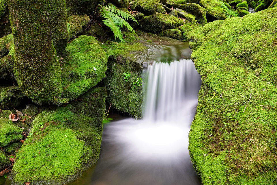 Tod eines Teenagers: Forderungen nach Verbot des gefährlichen Tackling-Spiels