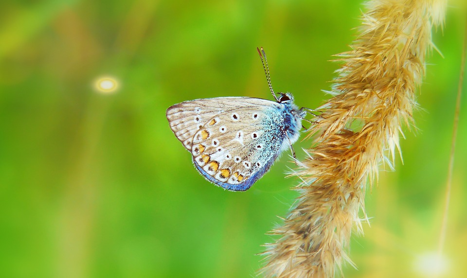 Tom Cruise begeistert Cannes mit neuem  Mission: Impossible  Film
