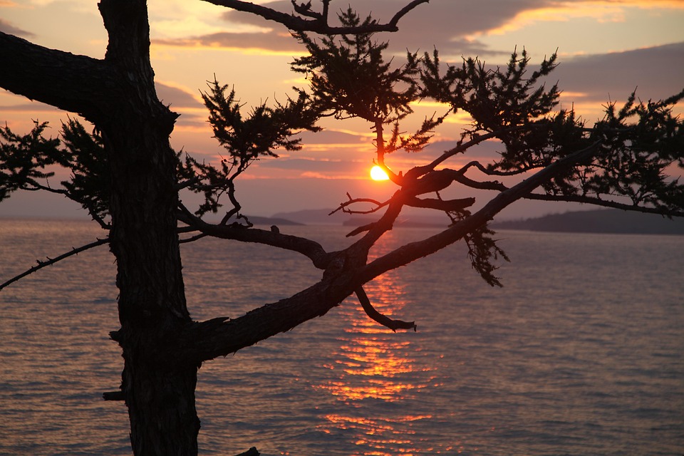 Trump: Russland und Ukraine beginnen sofort Verhandlungen zum Waffenstillstand