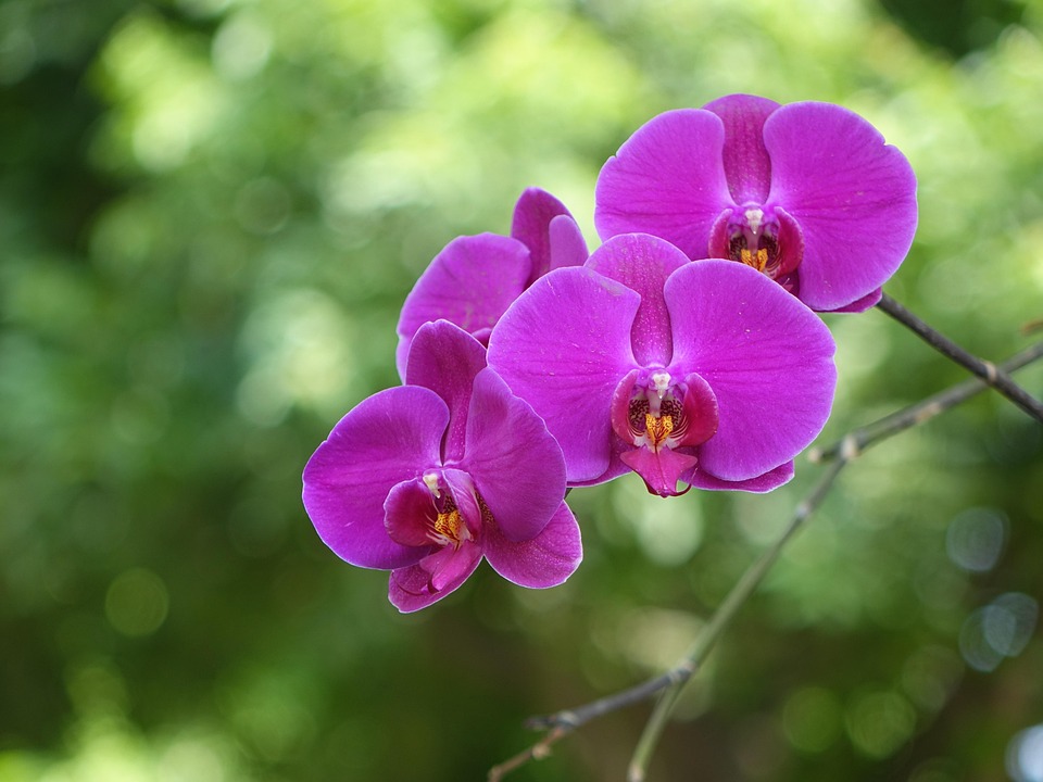 Trump nicht ausreichend über Ukraine informiert, sagt Kreml-Berater