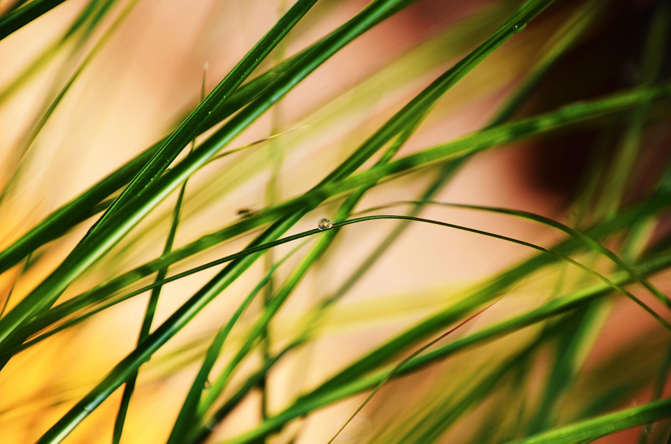 Trump plant, Zölle auf China  irgendwann  zu senken