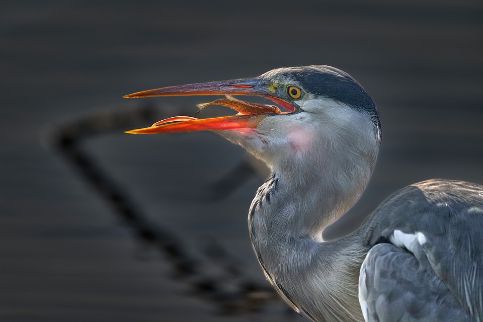 Trump prahlt mit Erfolgen in der Außenpolitik, geht aber große Risiken ein