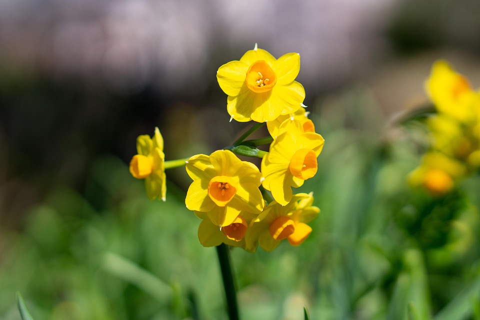 Trump senkt Zölle auf China: Preissteigerungen und Engpässe drohen weiterhin