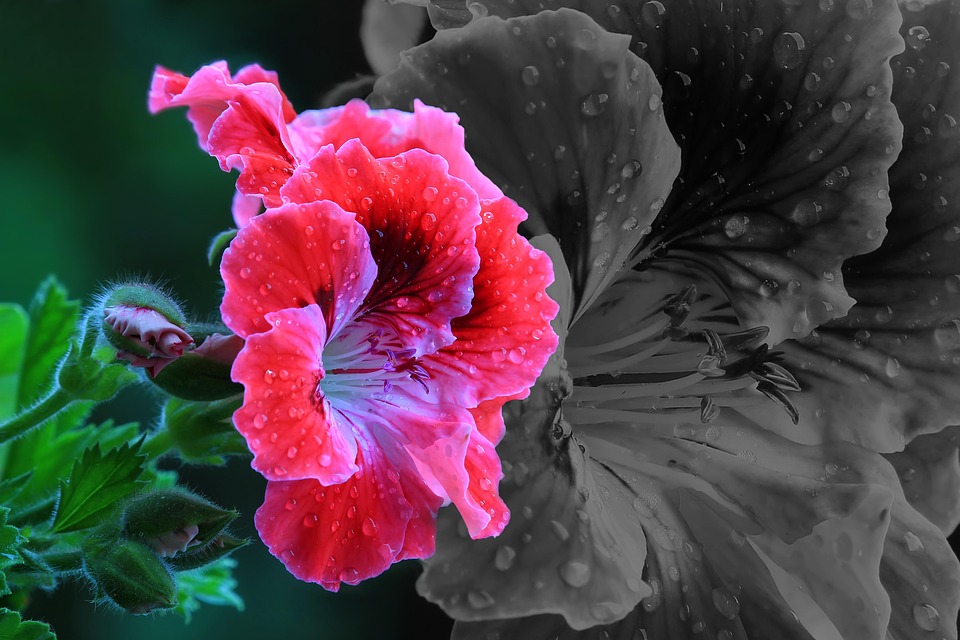 Trump spricht am Montag telefonisch mit Putin