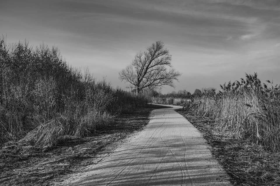 Trump spricht mit Putin über den Ukraine-Krieg – Neueste Entwicklungen