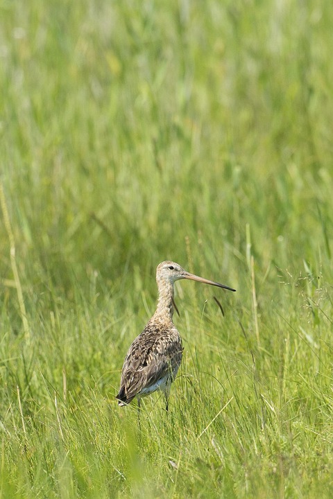 14 Tote bei schlimmsten russischen Angriffen auf Kiew seit Wochen
