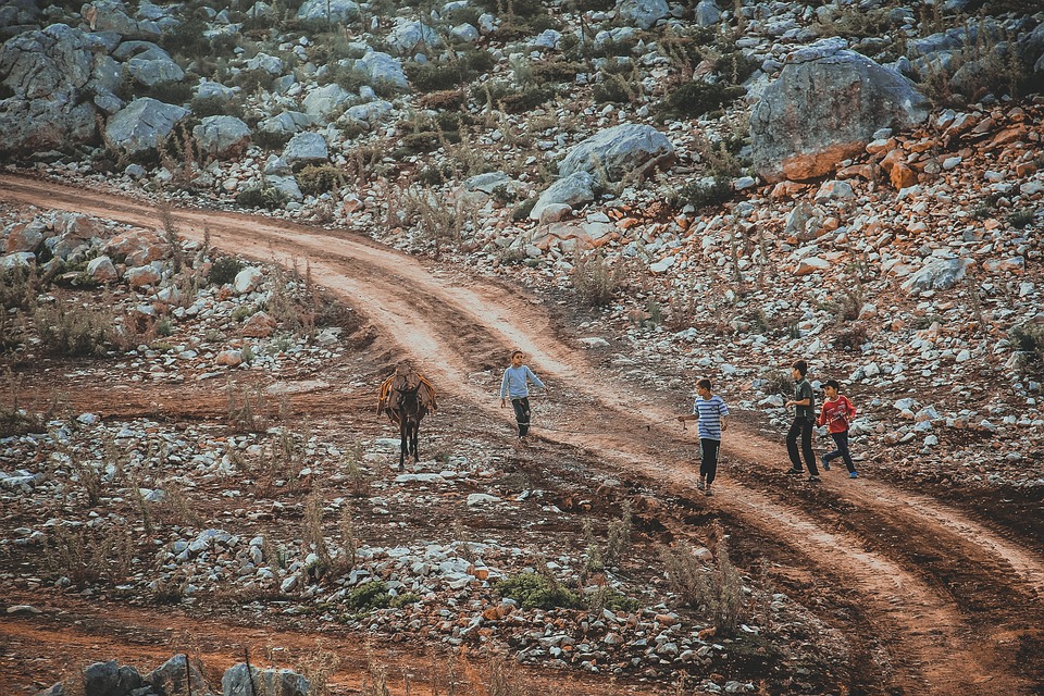 Beste Airline der Welt 2025 laut Skytrax