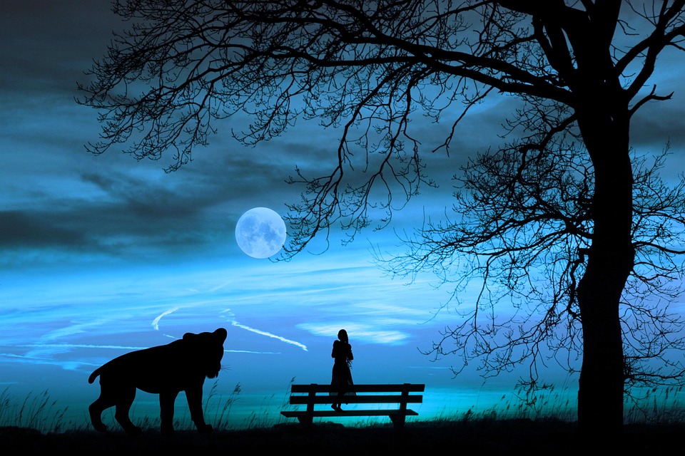 Beste Restaurant der Welt 2025 enthüllt