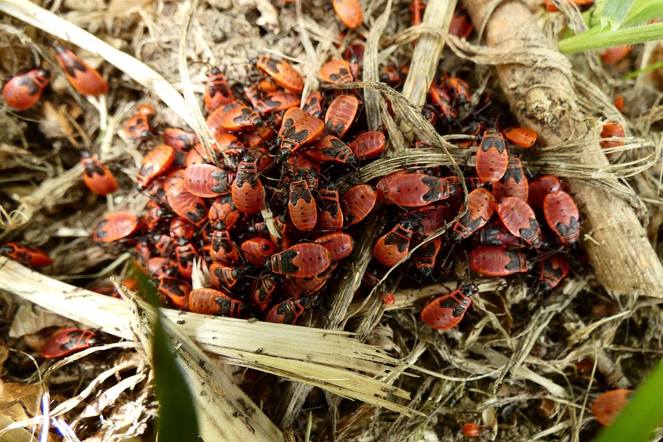 Europäische Beamte wollen Iran-Diplomatie nach Trump-Entscheidung beleben
