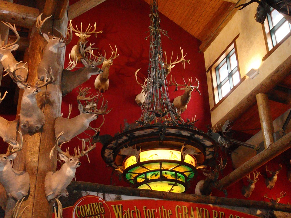 Frau beschuldigt, Schwiegereltern mit Giftschwammerl getötet zu haben, erhebt Stimme