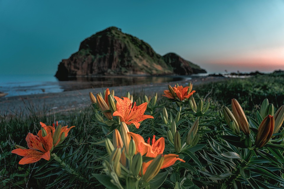 Japanisches Unternehmen plant Mondlandung: Lander verbrachte Monate im All