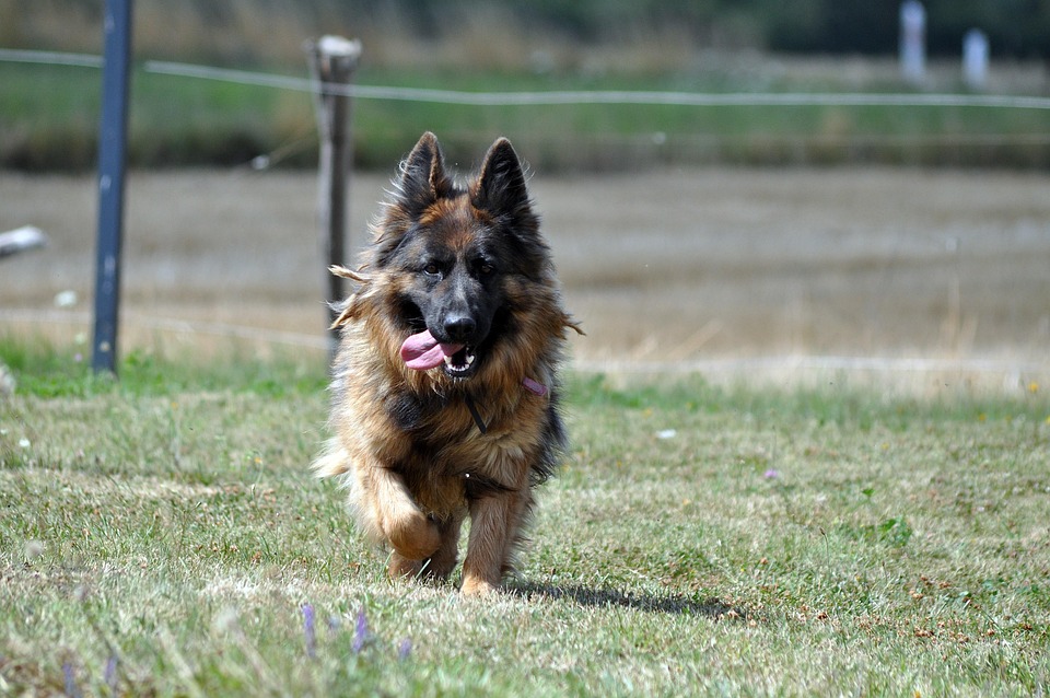 Merzcron : EU-Motor Frankreich-Deutschland läuft wieder an
