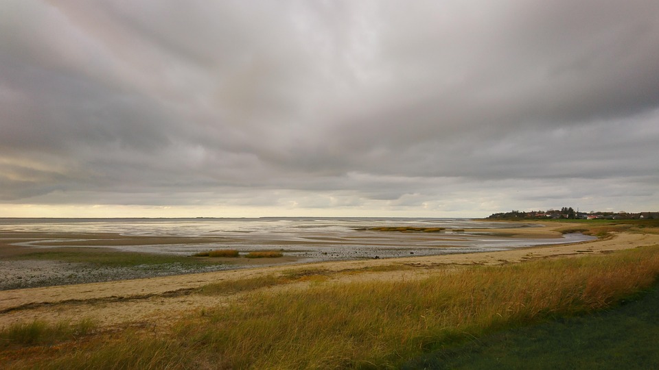 Neuseeland-Parlament stimmt für Rekord-Suspendierungen von 3 Abgeordneten