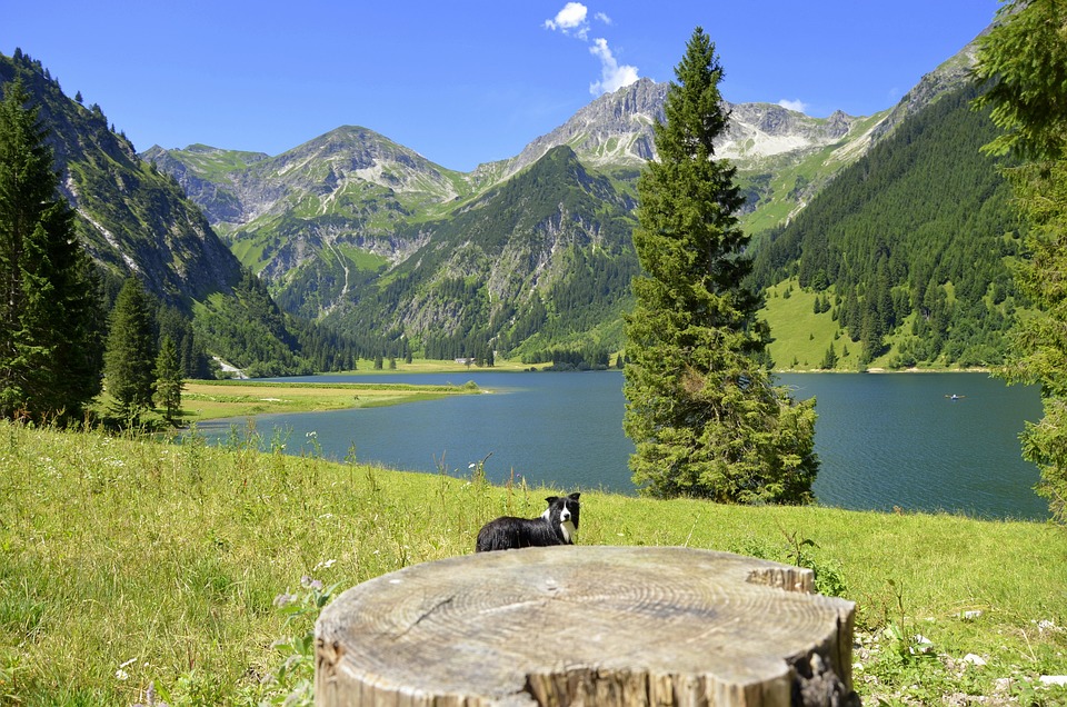 Österreich trauert um die Opfer eines der schlimmsten Anschläge