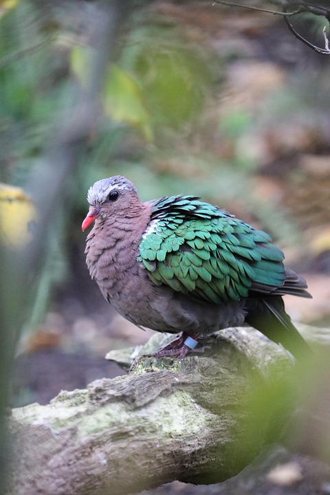 Seltene Erden: Bedeutung in Trumps Handelskrieg erklärt