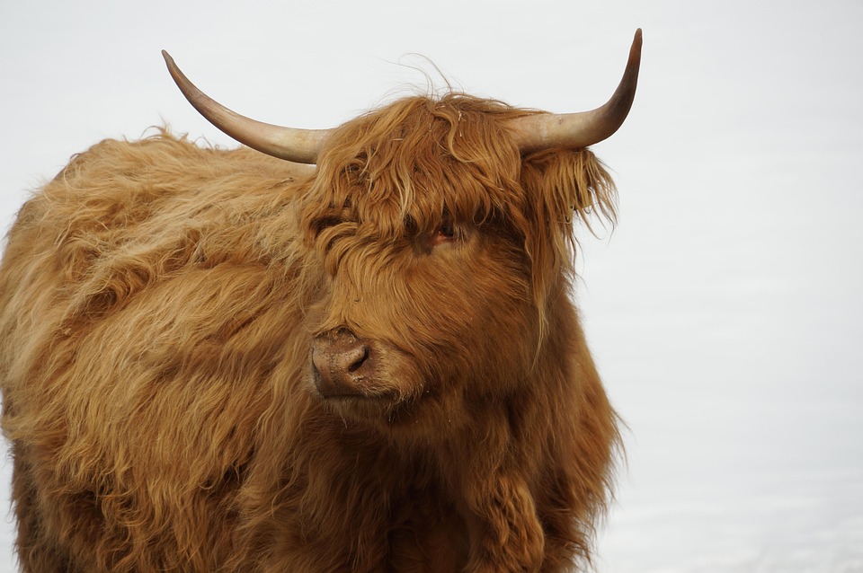 Seltene Labubu-Auktion über $150.000