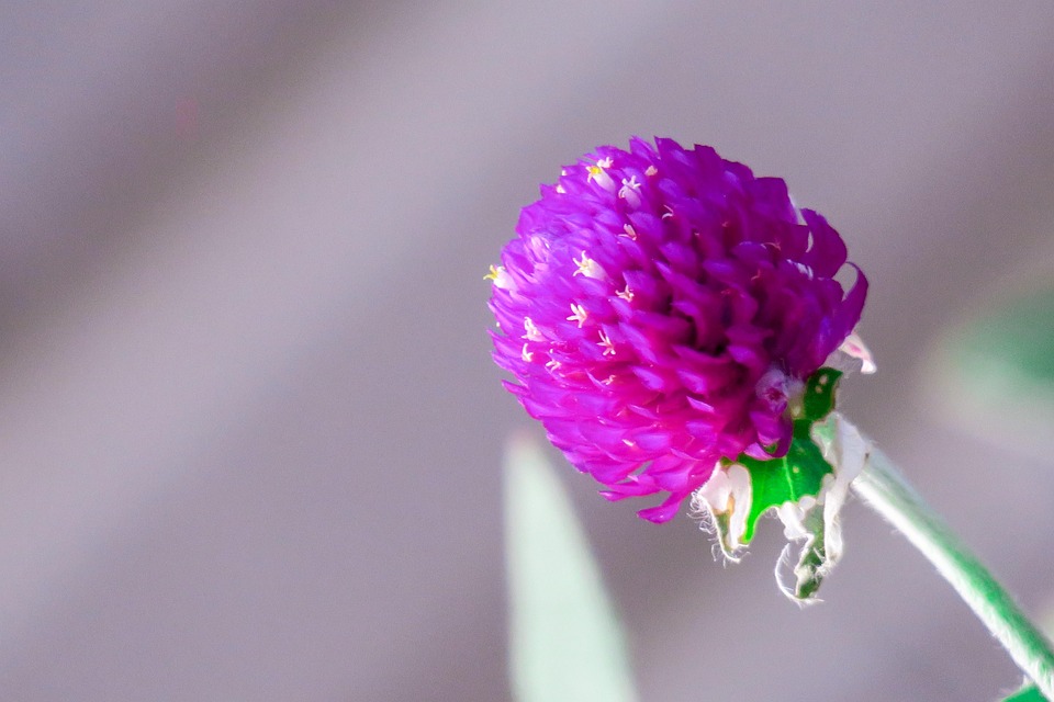 Tausende reisen nach Ägypten, um Israels Gaza-Blockade zu durchbrechen