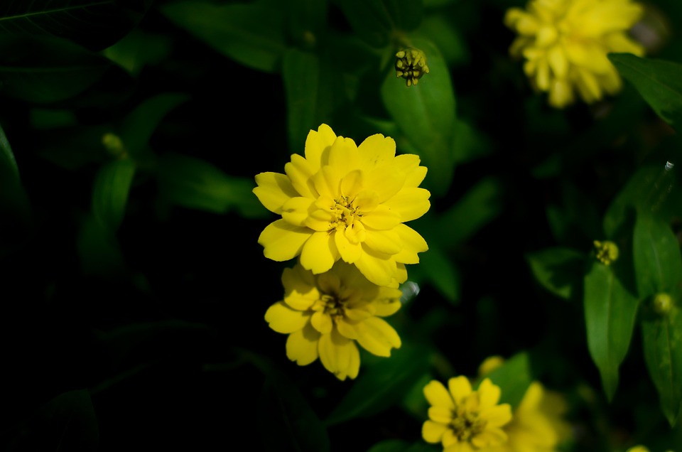 Trump, Iran-Angriffe erhöhen Nordkoreas Atomwaffen-Entschlossenheit