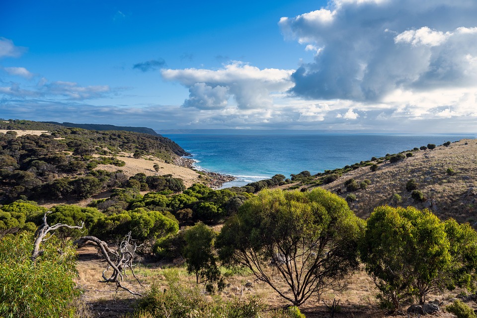Trump prüft Biden-U-Boot-Abkommen mit Australien und Großbritannien