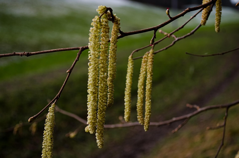 Trump und der Iran-Konflikt: Eine Herausforderung für die Diplomatie