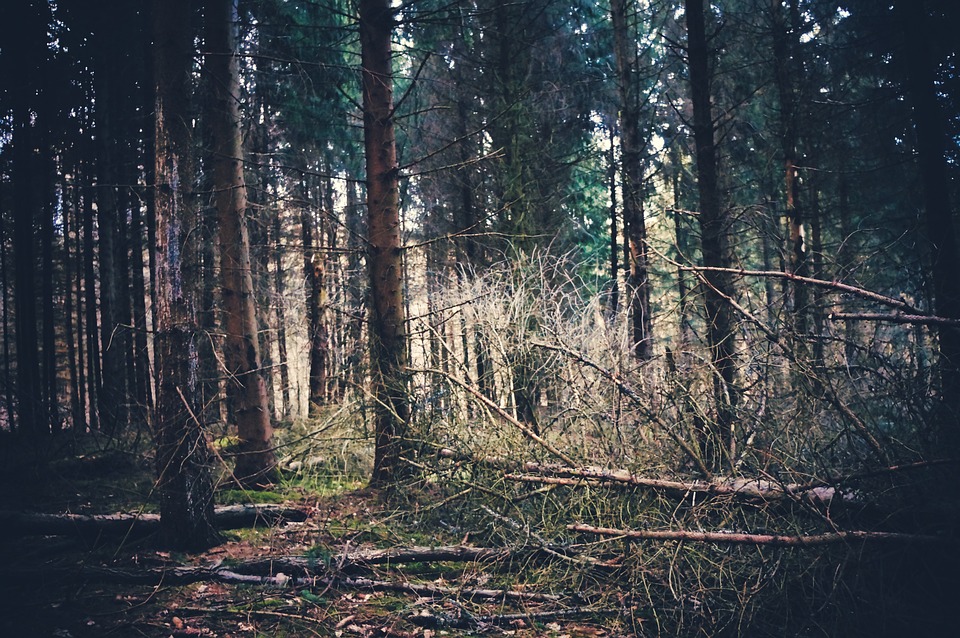 UK baut neue U-Boote und erhöht Kampfrüstungsbereitschaft gegen Russland