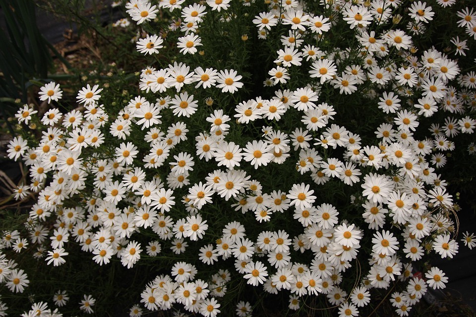 US-Amerikaner festgenommen, nachdem Mutter und Säugling in Griechenland gefunden wurden