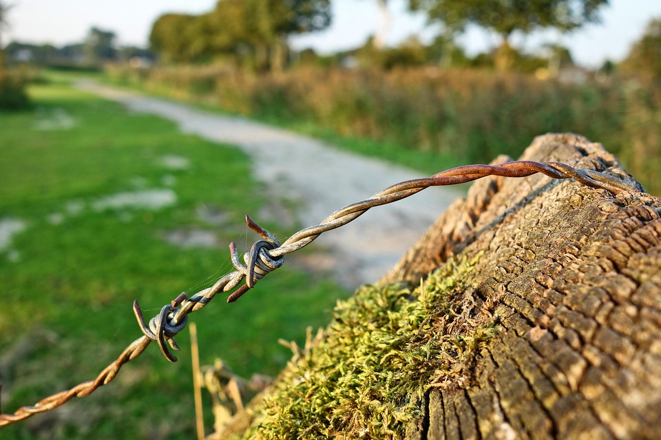 US entzieht Bob Vylan Visa nach Protest gegen israelisches Militär