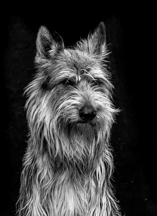 Ann-Katrin Berger: Zwei-Mal Krebs besiegt, bringt Deutschland ins EM-Halbfinale