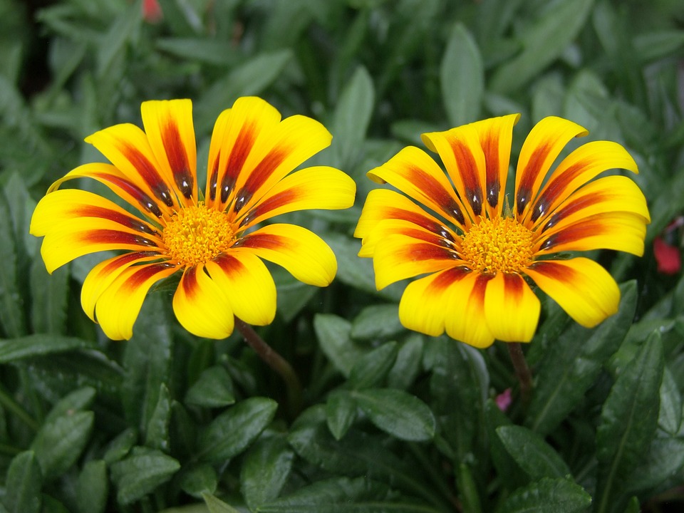 Befreite Geiseln aus Gaza berichten über sexuelle Gewalt als Kriegswaffe