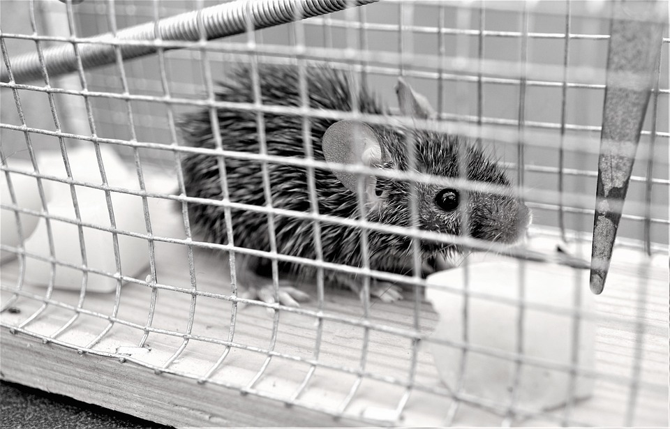 Entlassung und Tod eines Verkehrsministers: Ein Blick auf Putins Russland