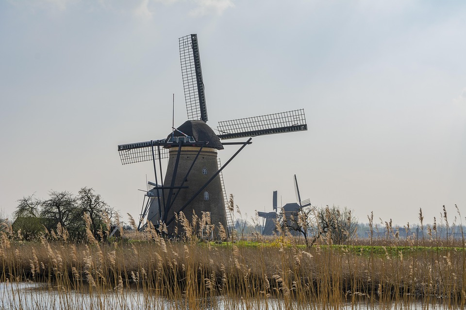 Europas größte Airline prüft Bonus für Mitarbeiter, die Übergepäck melden