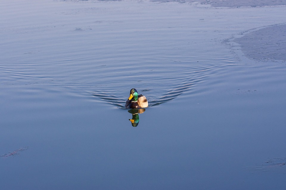Flüge an UK-Flughäfen wegen technischer Störung betroffen