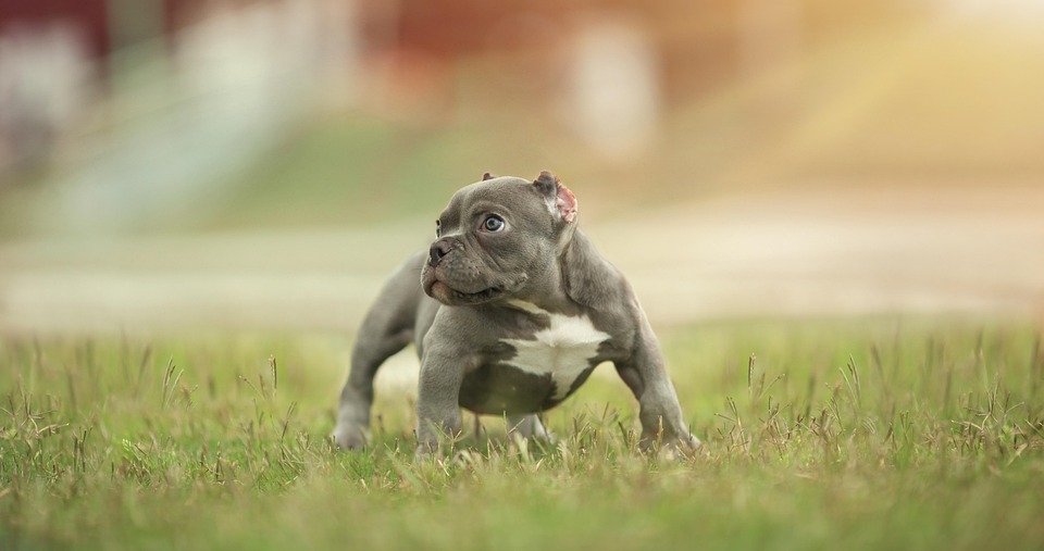 Mit 79 Jahren tauschte sie New York gegen Paris – die beste Entscheidung!
