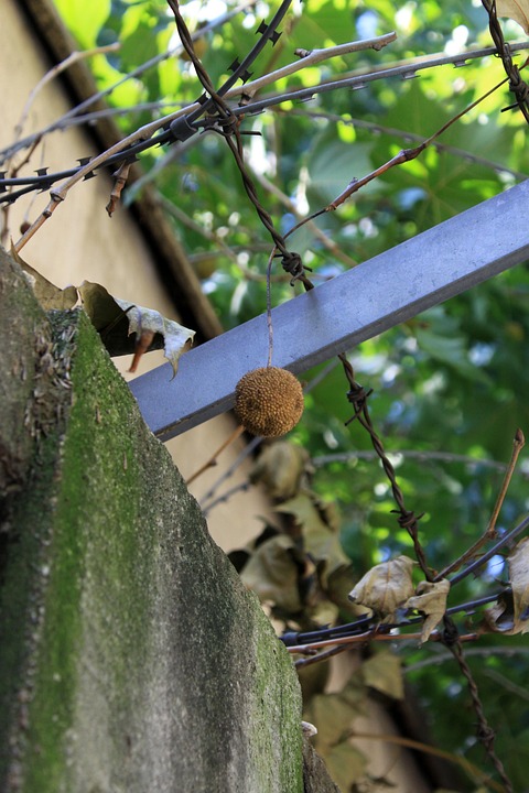 Pence: Isolationisten verlieren Einfluss bei Trump, lobt Ukraine- und Iran-Politik