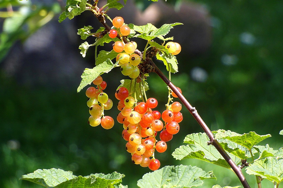 Prozess zu UK-Brandstiftung: Russland-Rekruten für Terrorismus entdeckt