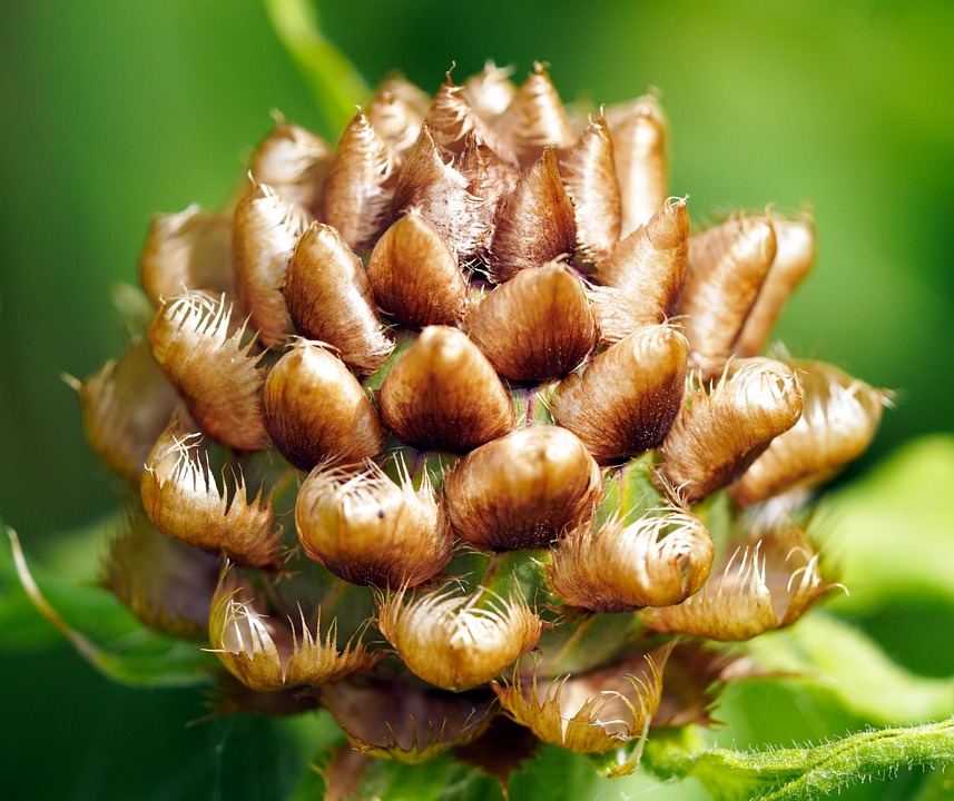 Russische Angriffe auf Kiew nach Trumps Gespräch mit Putin